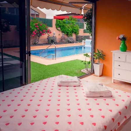 Molly * Costa De Antigua