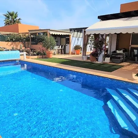 Molly * Costa De Antigua